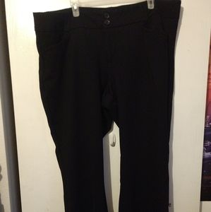 Torrid studio signature ponte pants 24Short